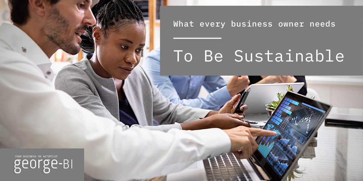 What every business owner needs to be sustainable - george-bi